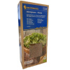 BIO Žerucha siata - microgreens - 200 g BIO Žerucha siata - microgreens - 200 g