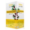 HERBEX spol. s r.o. HERBEX Lekáreň MOČOPOHLAVNÝ aparát bylinná zmes, čaj 20x3 g (60 g) HERBEX spol. s r.o. HERBEX Lekáreň MOČOPOHLAVNÝ aparát bylinná zmes, čaj 20x3 g (60 g)