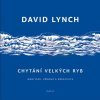Chytání velkých ryb. Meditace, vědomí a kreativita | Lynch David Chytání velkých ryb. Meditace, vědomí a kreativita | Lynch David