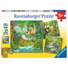 Ravensburger 051809 Zvířata v džungli 3x49 dielov Ravensburger 051809 Zvířata v džungli 3x49 dielov