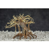 Aquasilva Kinabalu stromček aqua bonsai driftwood (koreň) Aquasilva Kinabalu stromček aqua bonsai driftwood (koreň)