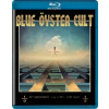 Blue Oyster Cult: First Night - 50th Anniversary: Blu-ray Blue Oyster Cult: First Night - 50th Anniversary: Blu-ray