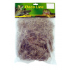 Lucky Reptile Spanish Moss 50 g Lucky Reptile Spanish Moss 50 g