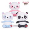 Kawaii Kuties panda Kawaii Kuties panda