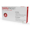 Damuprost rektální čípky 10 ks Damuprost rektální čípky 10 ks