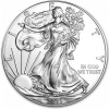 1 Dolar Stříbrná mince American Eagle 1 oz 2013