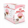 Mokré krmivo Royal Canin Kitten v omáčke kuracie mäso 12 ks x 85 g Mokré krmivo Royal Canin Kitten v omáčke kuracie mäso 12 ks x 85 g