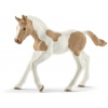 Schleich Hříbě plemene Paint Horse Schleich Hříbě plemene Paint Horse