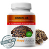 MycoMedica Coriolus 50% vysoká koncentrácia 90 kapsúl 500mg extraktu MycoMedica Coriolus 50% vysoká koncentrácia 90 kapsúl 500mg extraktu