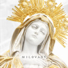 Momo - Milovaný CD Momo - Milovaný CD