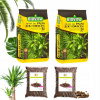 Záhradná pôda - Zem pre Palm Juki Monsters Ficus s hnojivám 10L + rozšírená hlina 2L (Zem pre Palm Juki Monsters Ficus s hnojivám 10L + rozšírená hlina 2L) Záhradná pôda - Zem pre Palm Juki Monsters Ficus s hnojivám 10L + rozšírená hlina 2L (Zem pre Palm Juki Monsters Ficus s hnojivám 10L + rozšírená hlina 2L)