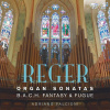 REGER: Organ Sonatas; Adriano Falcioni (CD) (BRILLIANT CLASSICS) REGER: Organ Sonatas; Adriano Falcioni (CD) (BRILLIANT CLASSICS)