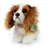 Plyšový pes King Charles španěl 25 cm ECO-FRIENDLY Plyšový pes King Charles španěl 25 cm ECO-FRIENDLY