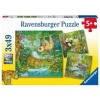 Ravensburger 051809 Zvířata v džungli 3x49 dielov Ravensburger 051809 Zvířata v džungli 3x49 dielov