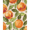 Maľovanie podľa čísel Zátišie pomaranča (Haley Bush), 80x100 cm, vypnuté plátno na rám (5018543) Maľovanie podľa čísel Zátišie pomaranča (Haley Bush), 80x100 cm, vypnuté plátno na rám (5018543)