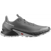 Salomon Alphacross 5 M Veľkosť: 41 1/3 EUR Salomon Alphacross 5 M Veľkosť: 41 1/3 EUR