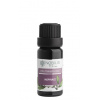 Nobilis Tilia Zmes éterických olejov Inšpirácia - 10 ml Nobilis Tilia Zmes éterických olejov Inšpirácia - 10 ml