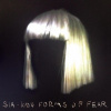Sia - Sia - 1000 Forms Of Fear (11xCD) Sia - Sia - 1000 Forms Of Fear (11xCD)