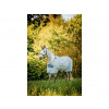 HORSEWARE Deka proti hmyzu Newmarket Horseware, witney navy Dĺžka chrbta: 140 cm HORSEWARE Deka proti hmyzu Newmarket Horseware, witney navy Dĺžka chrbta: 140 cm