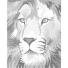 ZUTY Bodkovanie - FAREBNÝ LEV Rámovanie: bez rámu a bez vypnutia plátna, Rozmer: 80x100 cm ZUTY Bodkovanie - FAREBNÝ LEV Rámovanie: bez rámu a bez vypnutia plátna, Rozmer: 80x100 cm