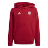 Adidas Detská mikina BAYERN MNICHOV Hoody červené velikost: 164 Adidas Detská mikina BAYERN MNICHOV Hoody červené velikost: 164