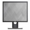 DELL Professional P1917S 19 DELL Professional P1917S 19