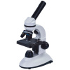 Discovery Nano Polar Microscope Discovery Nano Polar Microscope