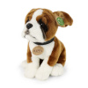 Plyšový pes boxer s obojkem 27 cm ECO-FRIENDLY Plyšový pes boxer s obojkem 27 cm ECO-FRIENDLY