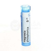 Boiron Magnesia Phosphorica CH9 4 g homeopatických granúl v tube Boiron Magnesia Phosphorica CH9 4 g homeopatických granúl v tube
