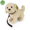 Rappa Zlatý retriever plyšový pes stojaci s vodítkom 25 cm ECO-FRIENDLY Rappa Zlatý retriever plyšový pes stojaci s vodítkom 25 cm ECO-FRIENDLY