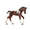 Schleich 13758 Hříbě koně trakehnerského Schleich 13758 Hříbě koně trakehnerského
