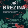 V kopřivách (audiokniha) - Jiří Březina V kopřivách (audiokniha) - Jiří Březina