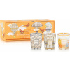 Vonné sviečky My First Baobab Gift Trio Brussels-Roma-A Saint-Tropez, 3 ks Vonné sviečky My First Baobab Gift Trio Brussels-Roma-A Saint-Tropez, 3 ks