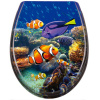 Schütte SEA LIFE | Duroplast, Soft Close Schütte SEA LIFE | Duroplast, Soft Close
