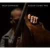 CD Avishai Cohen Trio: From Darkness CD Avishai Cohen Trio: From Darkness