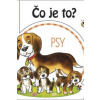 Čo je to? Psy - kolektív Čo je to? Psy - kolektív