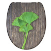 Schütte GINGKO und WOOD | Duroplast, Soft Close , 4008431821542 Schütte GINGKO und WOOD | Duroplast, Soft Close , 4008431821542
