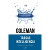Társas Intelligencia Társas Intelligencia