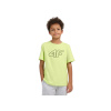 Chlapčenské tričko s krátkym rukávom 4F JUNIOR-TSHIRT M3007-45S-CANARY GREEN Zelená 146 2026 Chlapčenské tričko s krátkym rukávom 4F JUNIOR-TSHIRT M3007-45S-CANARY GREEN Zelená 146 2026