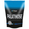 Musclesport PALATINOSE 1135 g Musclesport PALATINOSE 1135 g