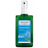 Weleda Šalvěj deospray 100 ml Weleda Šalvěj deospray 100 ml