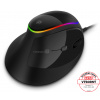 CONNECT IT GAME FOR HEALTH RGB Black CMO-2800-BK CONNECT IT GAME FOR HEALTH RGB Black CMO-2800-BK