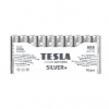 Tesla SILVER+ AAA 10ks 1099137215 Tesla SILVER+ AAA 10ks 1099137215