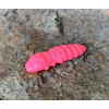 FISHUP Pupa 1,2 FISHUP Pupa 1,2