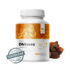 MycoMedica Ohňovec PRO 90 rostlinných kapsúl MycoMedica Ohňovec PRO 90 rostlinných kapsúl