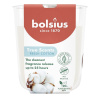 Sviečka Bolsius True Scents, čerstvá balvna, 80x73 mm, v skle Sviečka Bolsius True Scents, čerstvá balvna, 80x73 mm, v skle