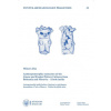 Anthropomorphic statuettes of the Linear and Stroked Pottery Cultures from Bohemia and Moravia - Lička Milan Anthropomorphic statuettes of the Linear and Stroked Pottery Cultures from Bohemia and Moravia - Lička Milan