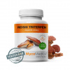 ❤️ MycoMedica REISHI TRITERPEN |Lesklokôrovka lesklá | Ganoderma lucidum ❤️ AKCIA: ✅ od 2 ks 📉 - 7 % až - 13 % ZĽAVA ❤️ 90 rastlinných kapsúl po 500 mg extraktu ❤️ MycoMedica® - KVALITNÉ Prírod ❤️ MycoMedica REISHI TRITERPEN |Lesklokôrovka lesklá | Ganoderma lucidum ❤️ AKCIA: ✅ od 2 ks 📉 - 7 % až - 13 % ZĽAVA ❤️ 90 rastlinných kapsúl po 500 mg extraktu ❤️ MycoMedica® - KVALITNÉ Prírod