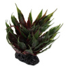 Dekorácia Repti Planet Rastlina sukulent Agave zelená 18cm Dekorácia Repti Planet Rastlina sukulent Agave zelená 18cm
