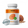 MycoMedica REISHI extrakt MycoMedica 90 kapsúl MycoMedica REISHI extrakt MycoMedica 90 kapsúl